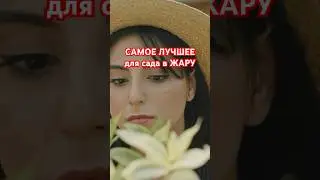 Сделайте это в летний зной в саду и удивитесь результатам!