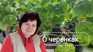 Поболтаем за работой!