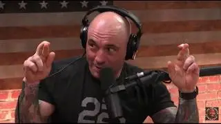 Joe Rogan on being in the Intellectual Dark Web