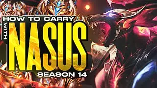 How to CARRY with NASUS SEASON 14 - Challenger Nasus Players In-Depth Reviews