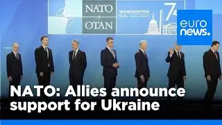 NATO: Allies announce long-term support for Ukraine, including Patriot systems | euronews 🇬🇧