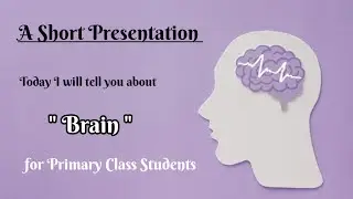 Presentation about Brain || Presentation Topic Ideas || School Assembly Presentation