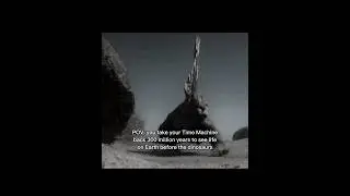 Life on earth before the dinosaurs 