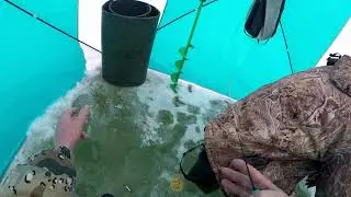 зимняя рыбалка бешеный клев воблы на мормышку но размер не радует рыбалка в Казахстане
