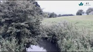 Evening walk through the local park on a dull day