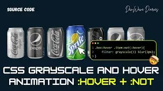 CSS Grayscale and Hover Effect | CSS Element Select Animation | CSS Filter | Creazy CSS