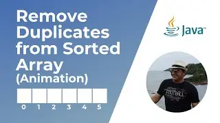 Remove Duplicates from Sorted Array | Leetcode 26 | Animation | Coding Interview Problem