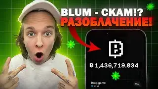 BLUM - САМЫЙ КРУПНЫЙ СКАМ или НОВЫЙ ГЕМ? РАЗОБЛАЧЕНИЕ БЛУМ!