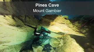 Pines Cave, Mount Gambier (360 2D 8K) | Insta360 ONE RS 1-Inch 360 Edition | Mantis RS360 housing