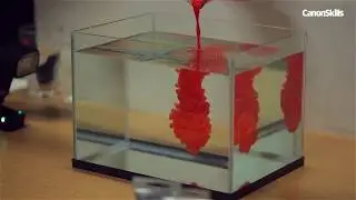 Create Colourful Ink Drops