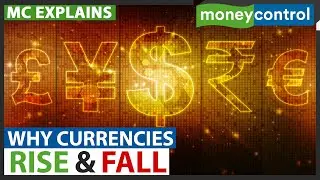 These Are The 5 Factors That Affect A Currencys Value | Why Currencies Rise & Fall | Explained