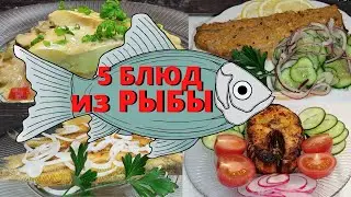 5 БЛЮД из РЫБЫ 