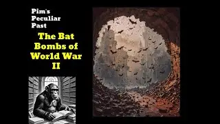 The Bat Bombs of WWII | Weird World History | Pim's Peculiar Past