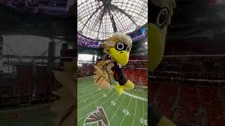 Yo, Freddie Falcon is wild! | Atlanta Falcons 