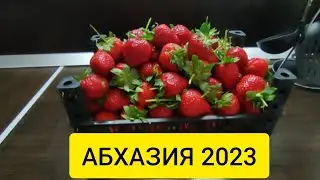 ПОЧЕМ ЯГОДКА? СЕЗОН КЛУБНИКИ В АБХАЗИИ. ПИЦУНДА 2023. АБХАЗИЯ ПОГОДА В АПРЕЛЕ.