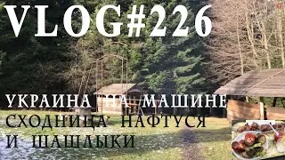 ВЛОГ№226. Сходница. Шашлык, лес белки, источник "виски" с содовой.