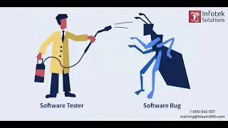 Principles Of Software Testing  | Manual Testing Free Training | ITlearn360