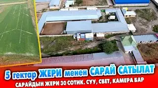 Чоң САРАЙ, 5 гектар ЖЕРИ менен САТЫЛАТ ~ Үй, баня, суу, свет, кызыл китеби бар