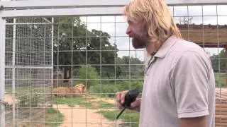 Joe Exotic TV - Tiger Attacks Skippys Hose and Erik Cowie Is About To Explode!