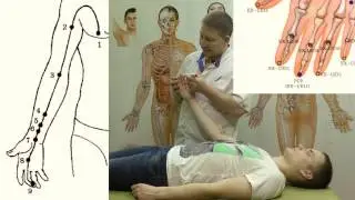 Секреты китайской медицины (9). Точка чжун-чун. Меридиан перикарда МС9