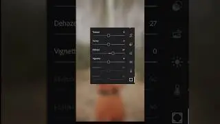 Lightroom photo editing 