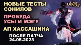 ПРОБУДА Мэгу и Усы. АП Хассашина. ТЕСТ Сонилов в БДО (BDO - Black Desert)