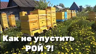 Как не упустить РОЙ ?!
