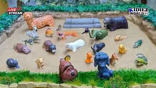 Learn Wild Animals Names and Animal Video | Fun Learning Animal Adventure for Kids Live