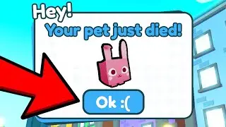 my pet DIED in Pet Simulator X... :(