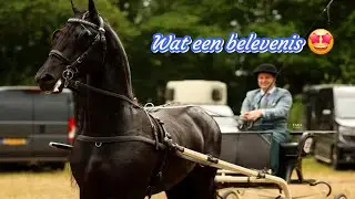 “Lukas & Siem… HALEN ZE HUN TUIGLICENTIE?!” PHDressage