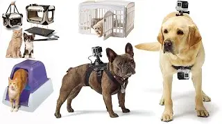 TOP 10 NEW PET GADGETS INVENTION  | PET GADGETS