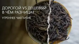 Дорогой чай VS Дешевый. Что стоит за ценой? | Art of Tea, китайский чай