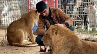 Rafah zookeepers 