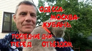 ПОСЛЕДНИЕ ДНИ В МОСКВЕ ПЕРЕД ОТЪЗДОМ НА КУБАНЬ.ПОДАРИЛИ РЮКЗАК ДЛЯ СОБАЧКИ.РАССКАЗ О ЛУНИ.