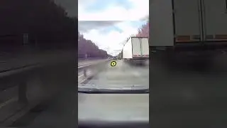 Откуда этот олень на дороге?🚗💥🚙