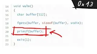 Format String Exploit and overwrite the Global Offset Table - bin 0x13