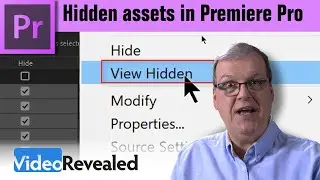 Hidden Assets in Adobe Premiere Pro