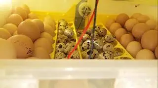 ОТКЛЮЧИЛИ СВЕТ 
НА 10 ЧАСОВ!!! 
КАРАУЛ!!!🤤🤤🤤🤤🤤
