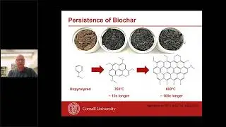 What are the soil carbon sequestration potentials of biochar and enhanced weathering?