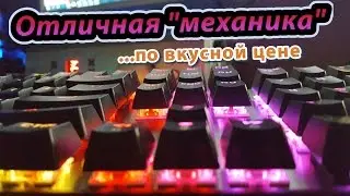 Бюджетная МЕХАНИЧЕСКАЯ RGB  Клавиатура за 2.5К - Motospeed Inflictor CK 104