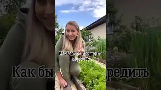 Как быстро проредить морковь 🥕.                                        Автор: yana_sad_19