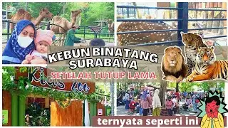 KEBUN BINATANG SURABAYA TERBARU 2021 | KONDISI TERKINI KEBUN BINATANG SURABAYA SETELAH PPKM