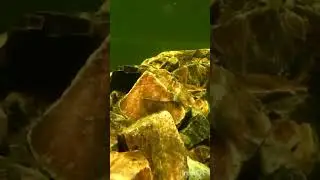 Вода - жизнь.