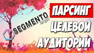 КАК ПОДОБРАТЬ ЦЕЛЕВУЮ АУДИТОРИЮ. Обзор сервиса Segmento Target