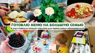 Домашний влог🏡Меню на большую семью🥗Дела в саду🌹Собрали урожай🍒Классные покупки для уборки