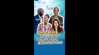 China-Africa cooperation in the eyes of African scholars