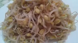 Korean salad with Masha