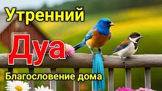 утренний дуа. дуа каждое утро