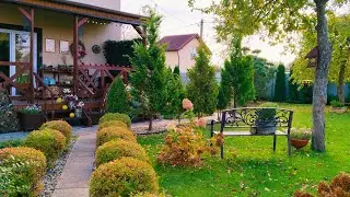 🍁🏠Уютный дом Своими Руками🍁Превращаю Сухоцветы в Произведение Искусства🌸 Выпечка. Покупки 