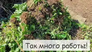 Установка забора. Убираем сорняки. Крапива. Границы участка. Старый забор. Наш дом в Германии